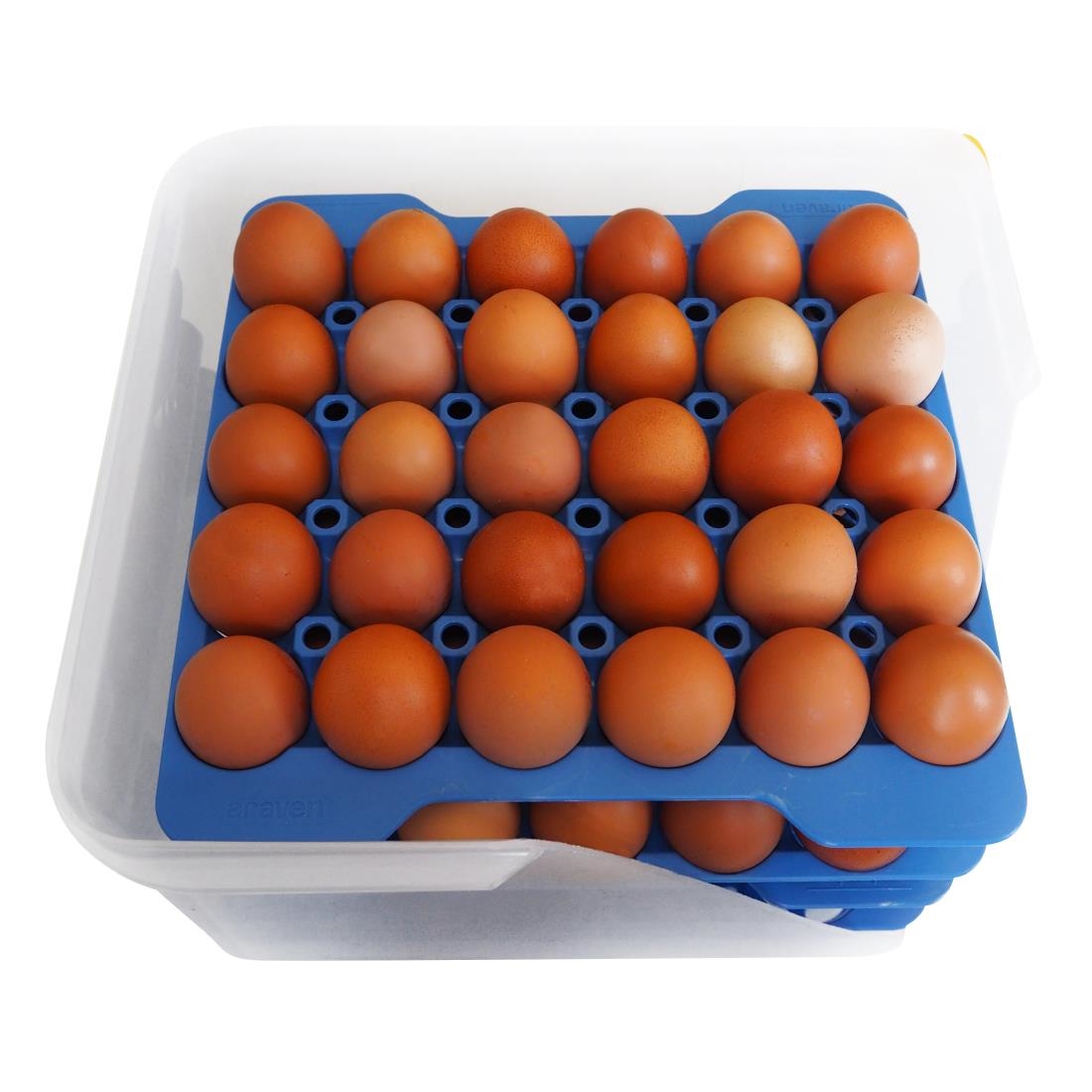 Araven Airtight Container Polypropylene - with 4 Egg Trays GN 2/3 200mm - Image 3