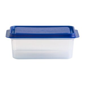 Wham Studio Rectangle Food Box Clear/Blue - 1Ltr