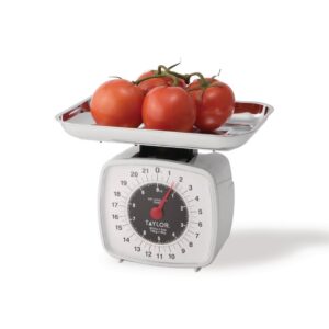 Taylor Pro High Capacity Mechanical Food Scale - 10kg